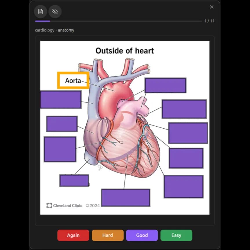 Osmosis screenshot