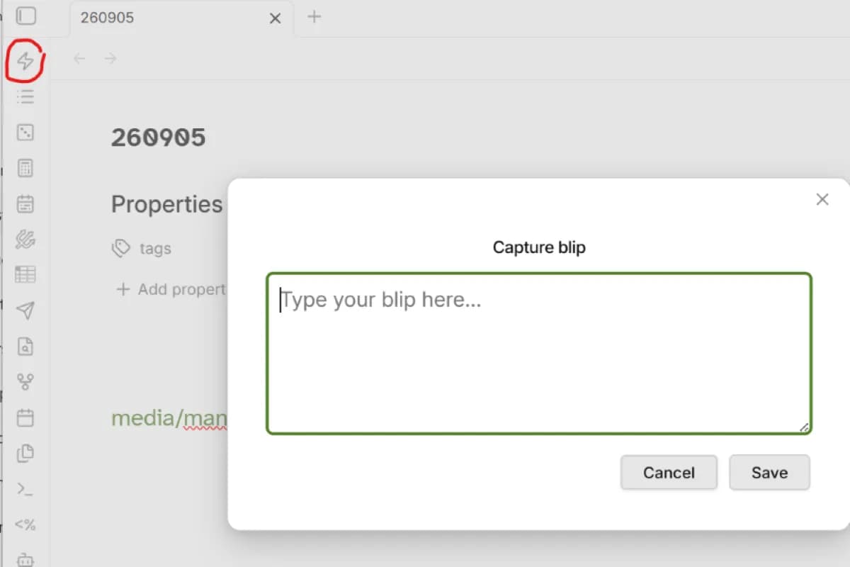 Blip Capture screenshot