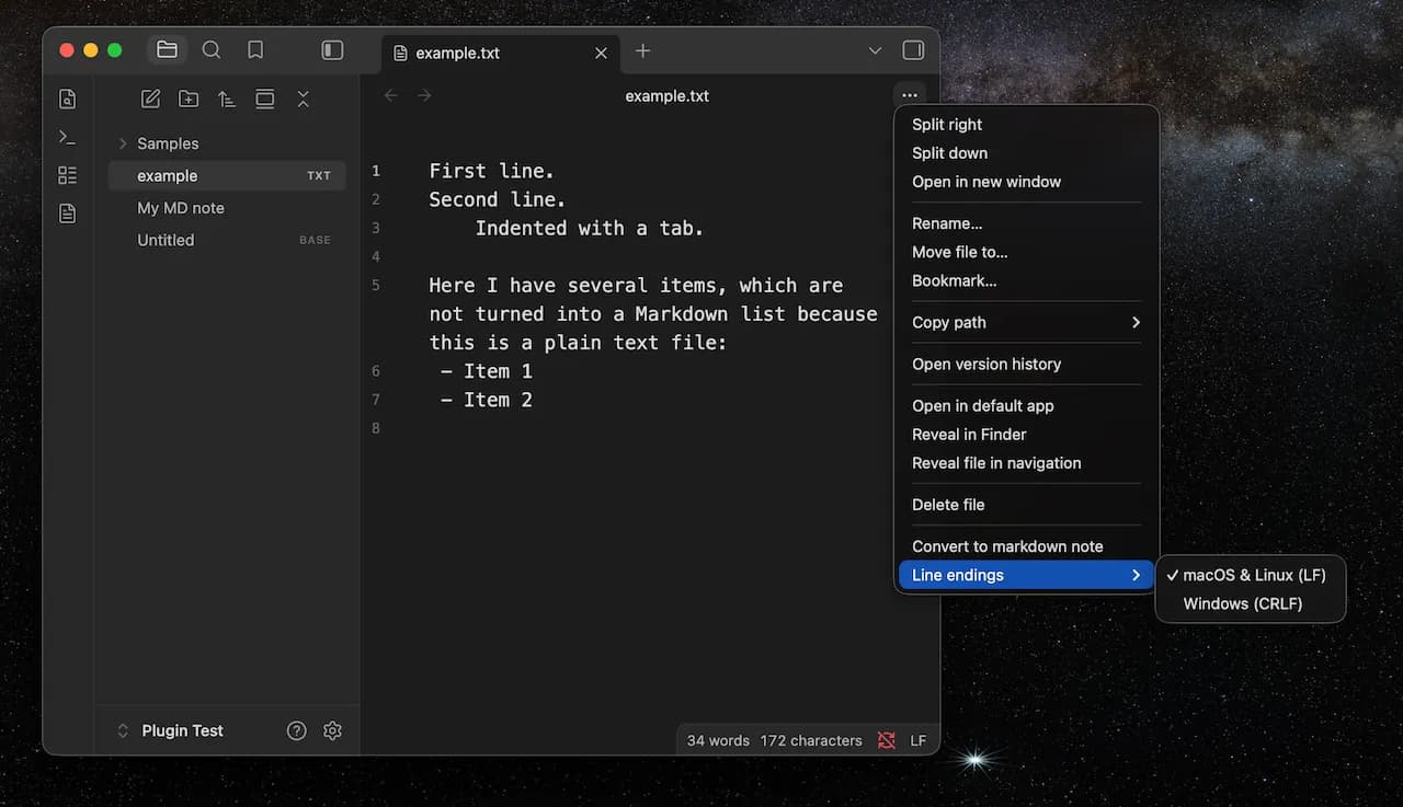 Plain Text Editor screenshot