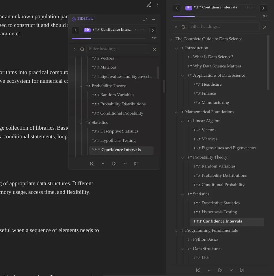 BiDi Flow Navigator screenshot