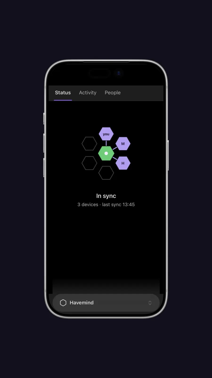 Havemind screenshot