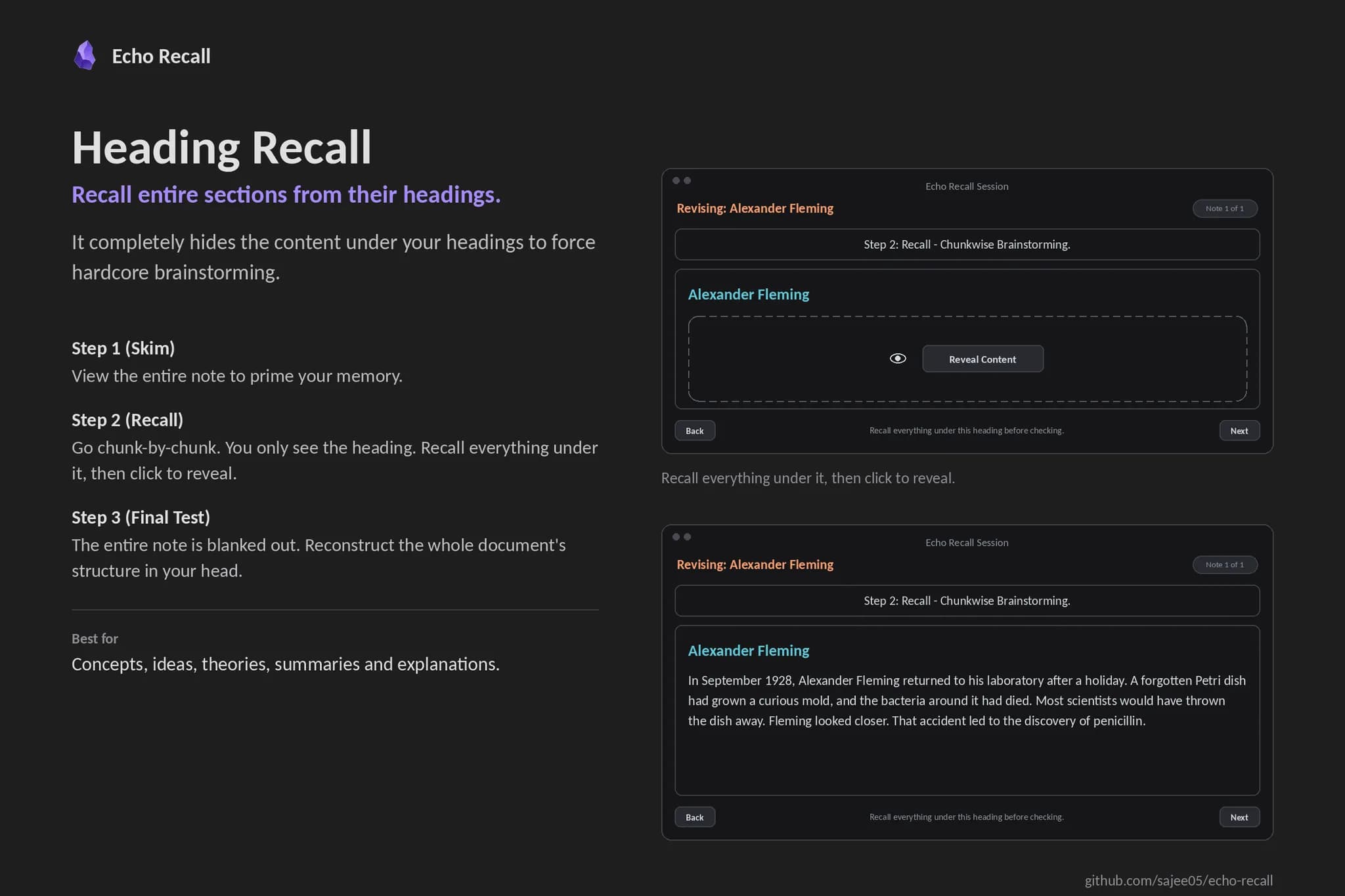 Echo Recall screenshot