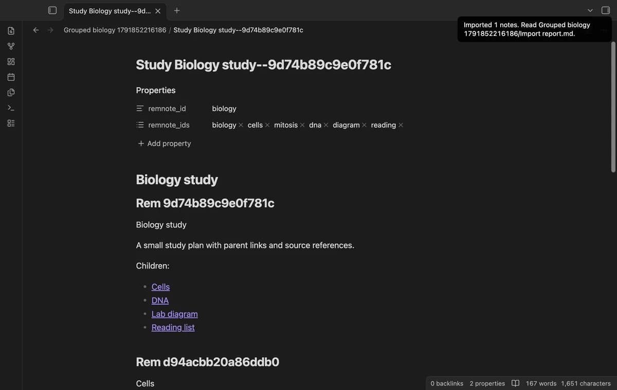 RemNote JSON Import screenshot