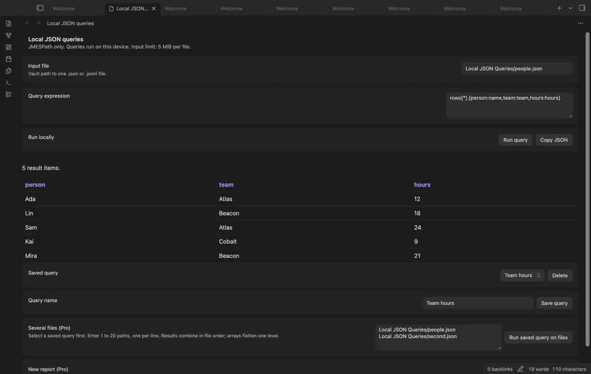 Local JSON Queries screenshot