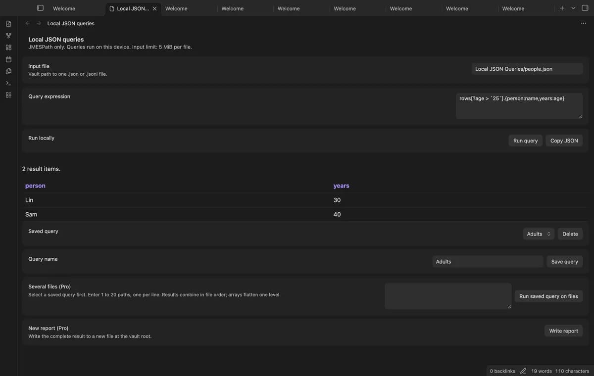 Local JSON Queries screenshot