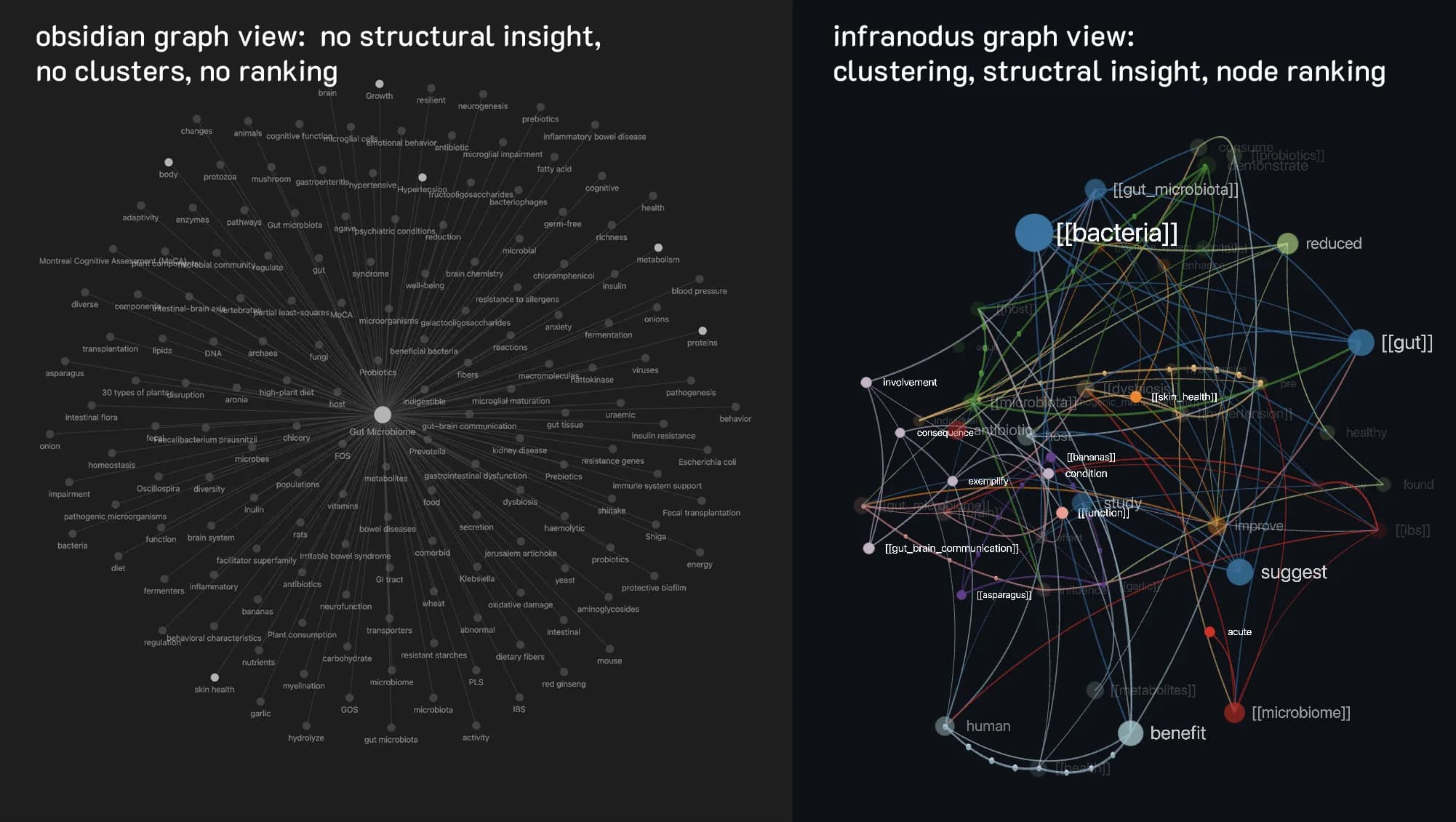 InfraNodus AI Graph View screenshot