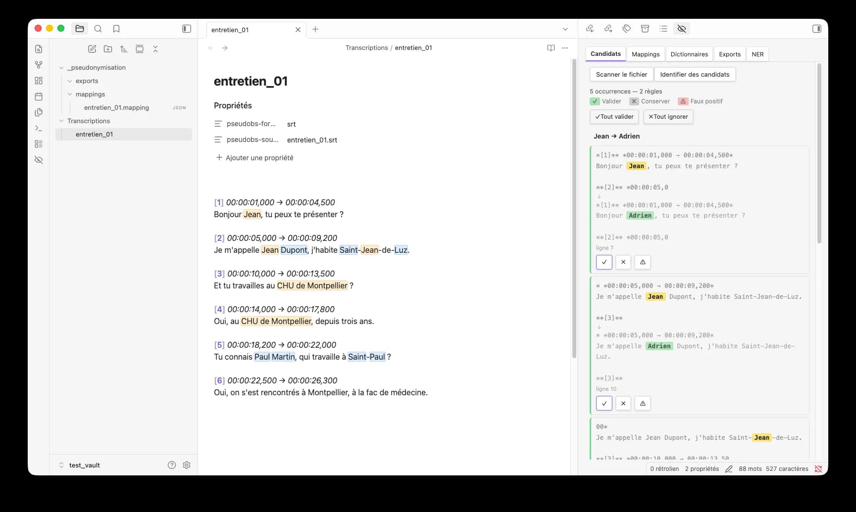 Pseudonymizer Tool screenshot