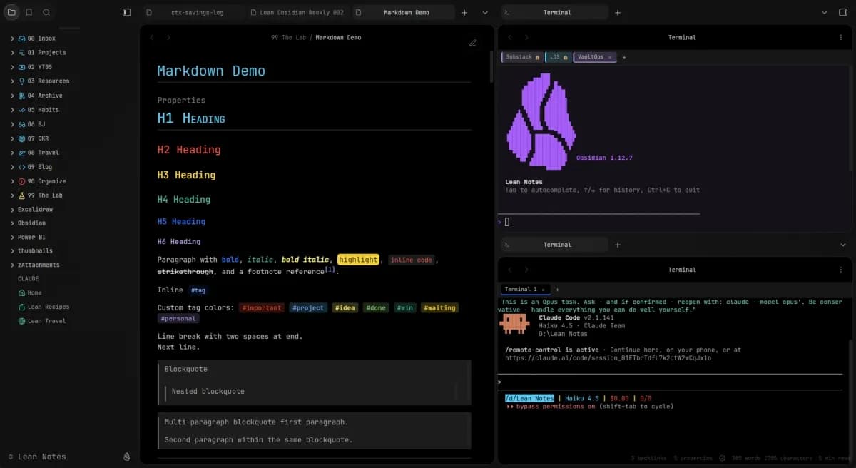 Lean Terminal screenshot