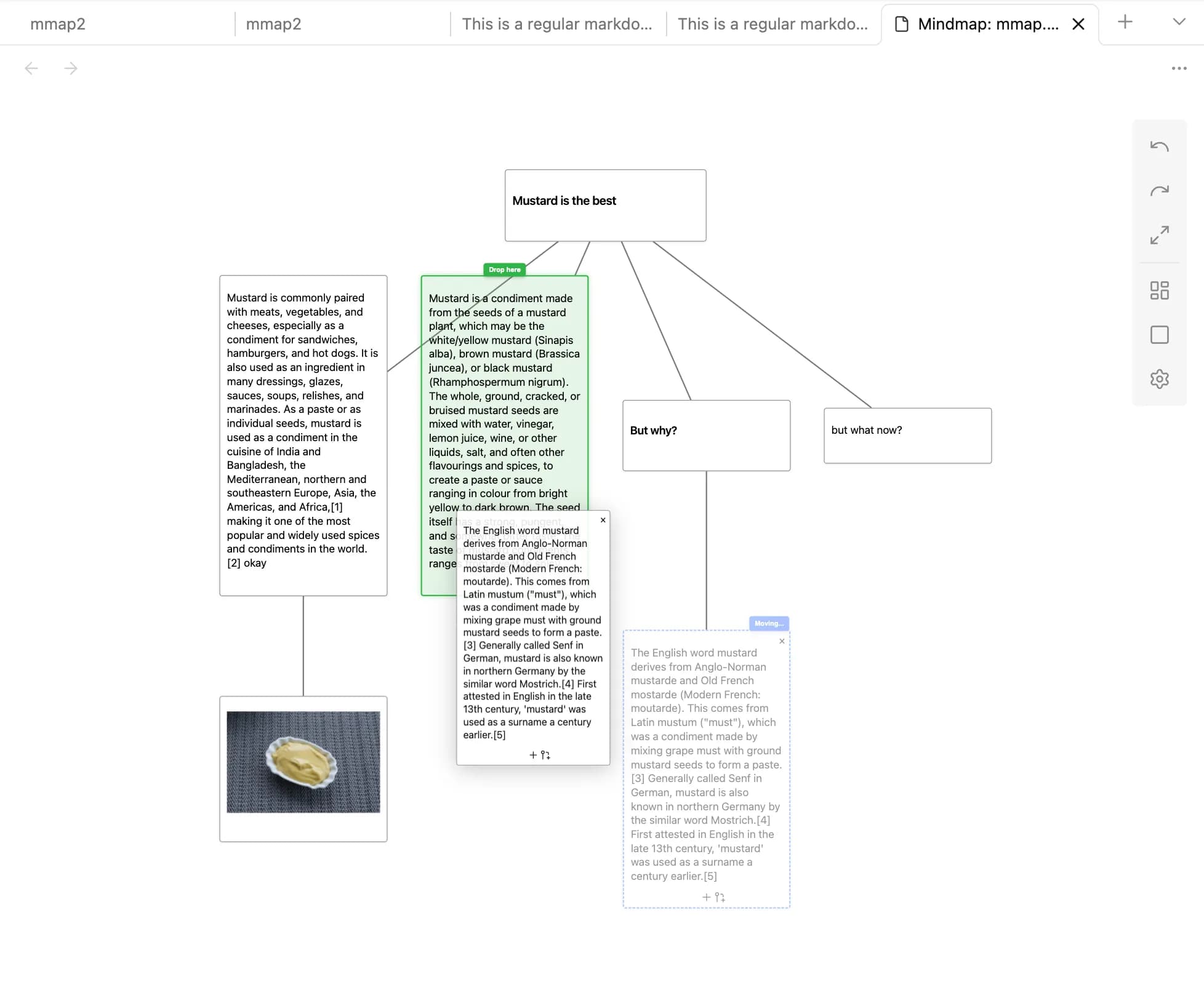 Excerpt-Outline-Mindmap-Editor screenshot