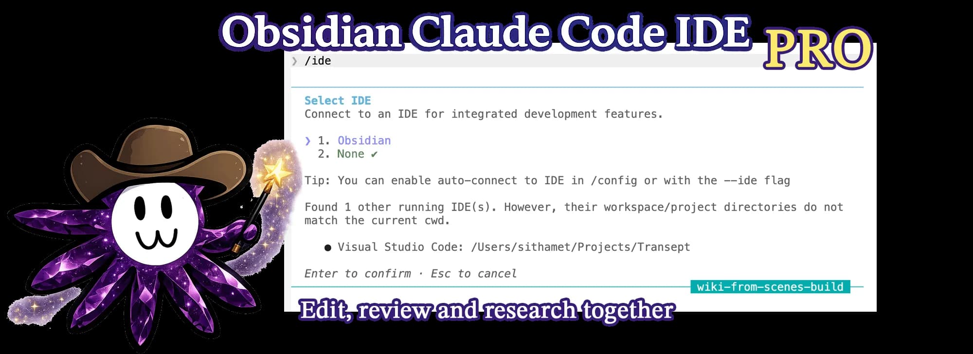 Claude Code IDE Pro screenshot