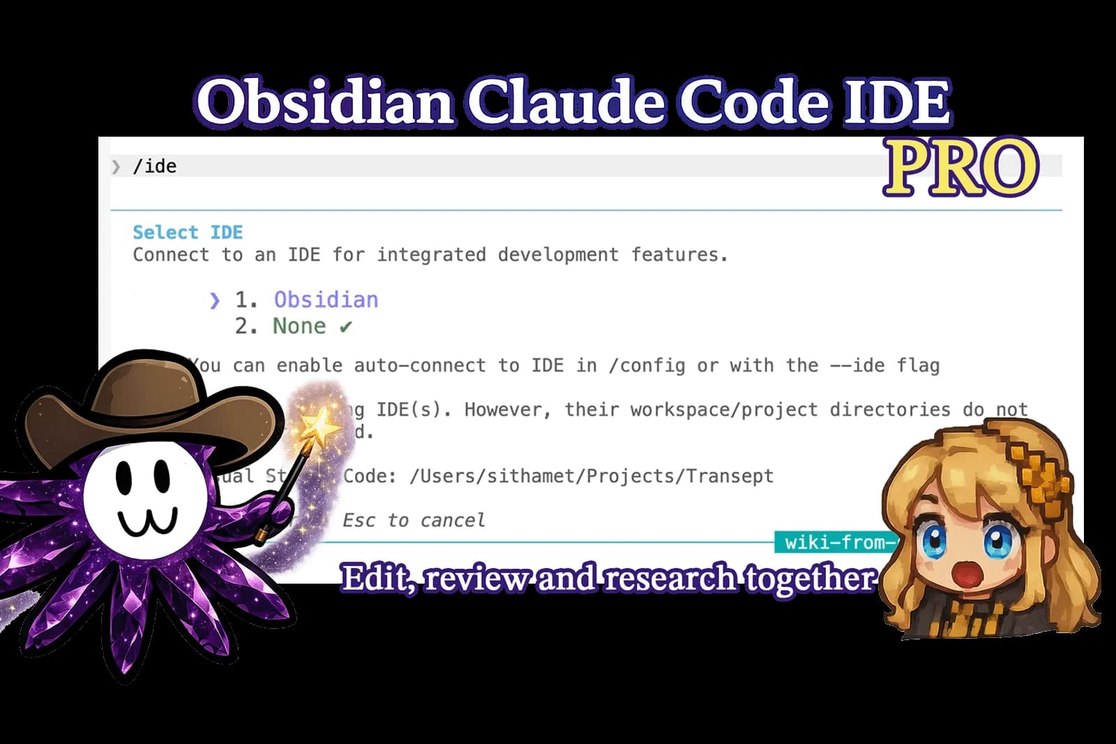 Claude Code IDE Pro screenshot