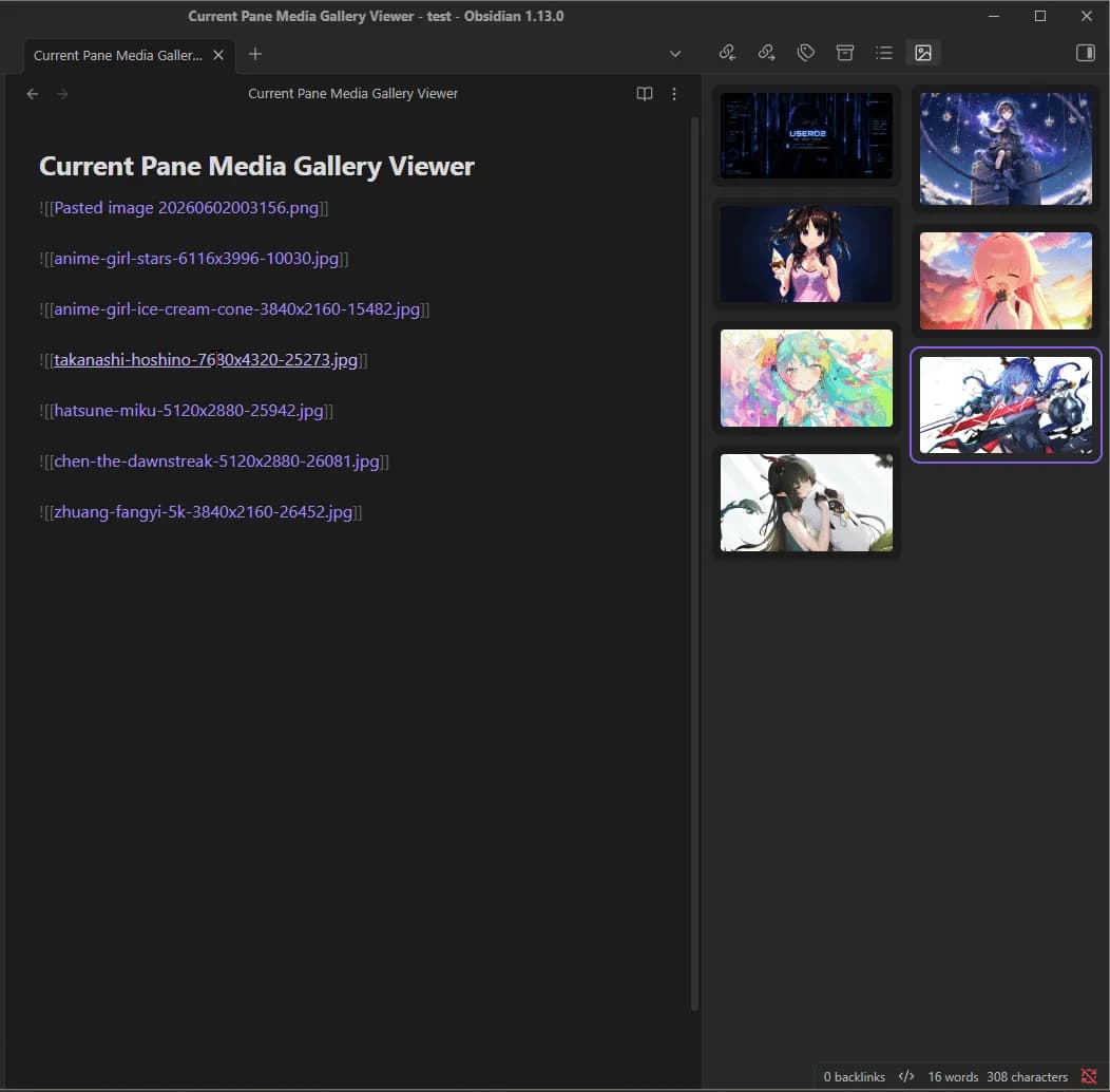 Current Pane Media Gallery Viewer screenshot