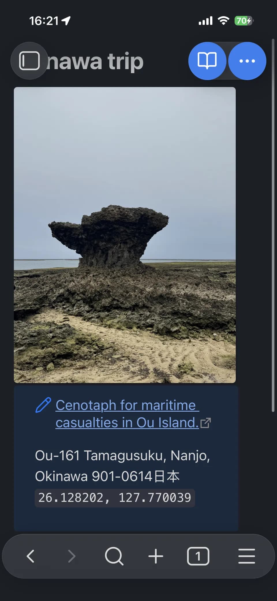 Geo Capture screenshot