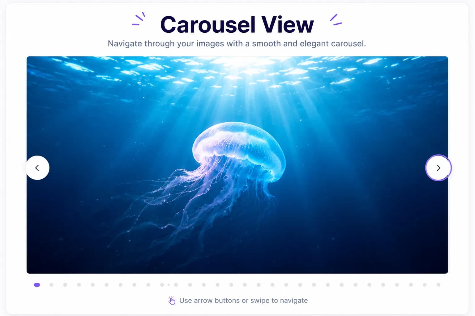 Gallery View screenshot