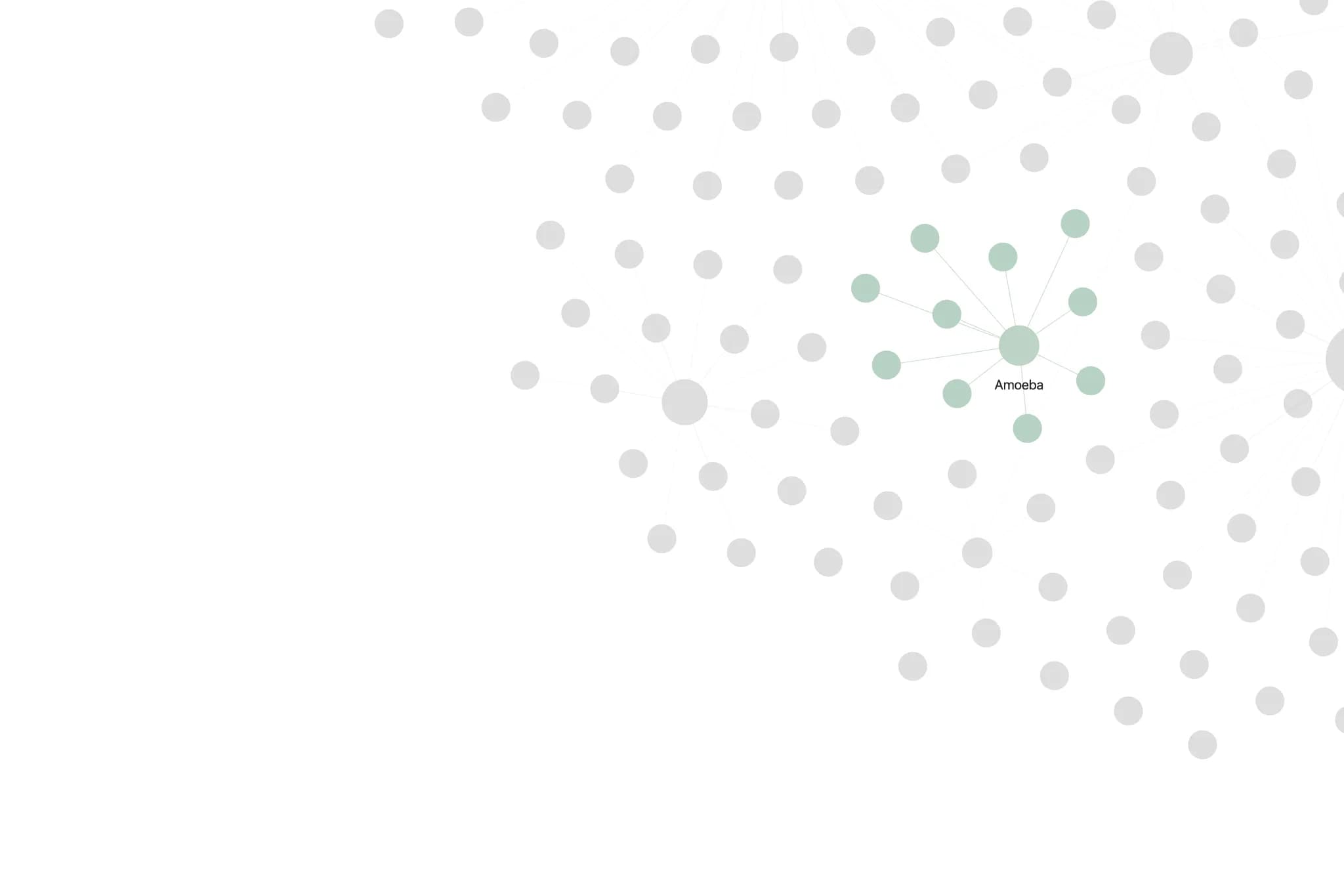 Amoeba screenshot