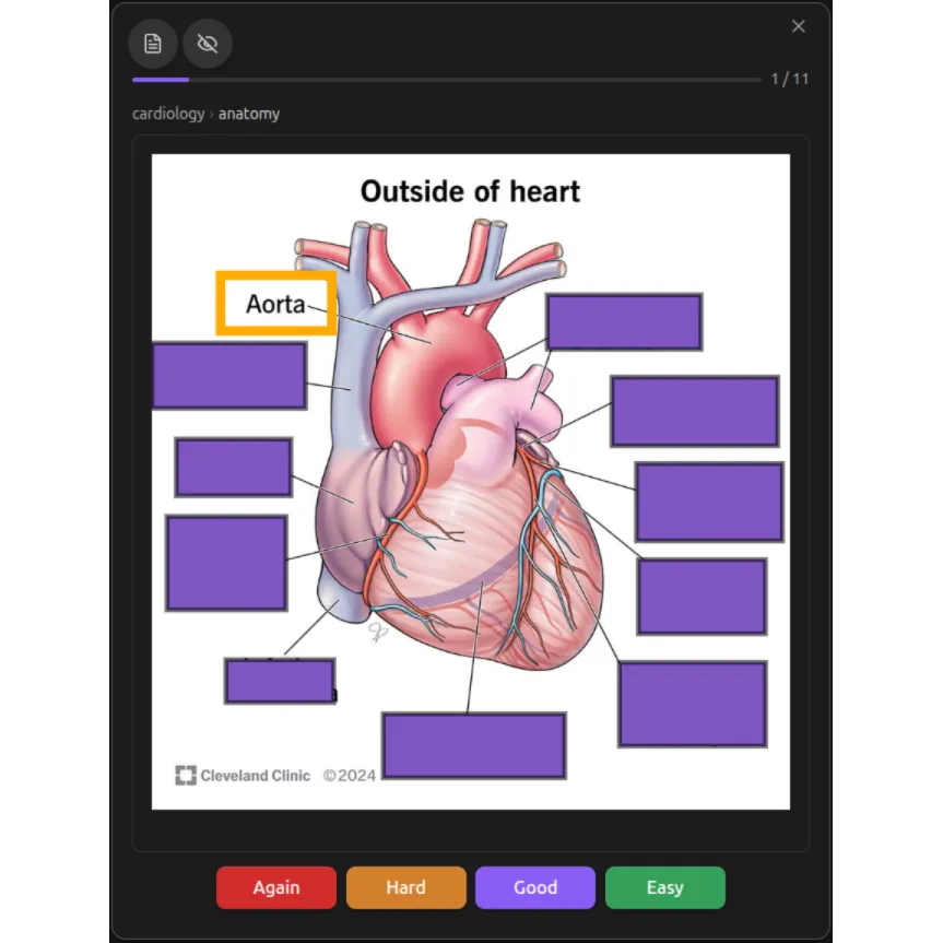 Osmosis screenshot