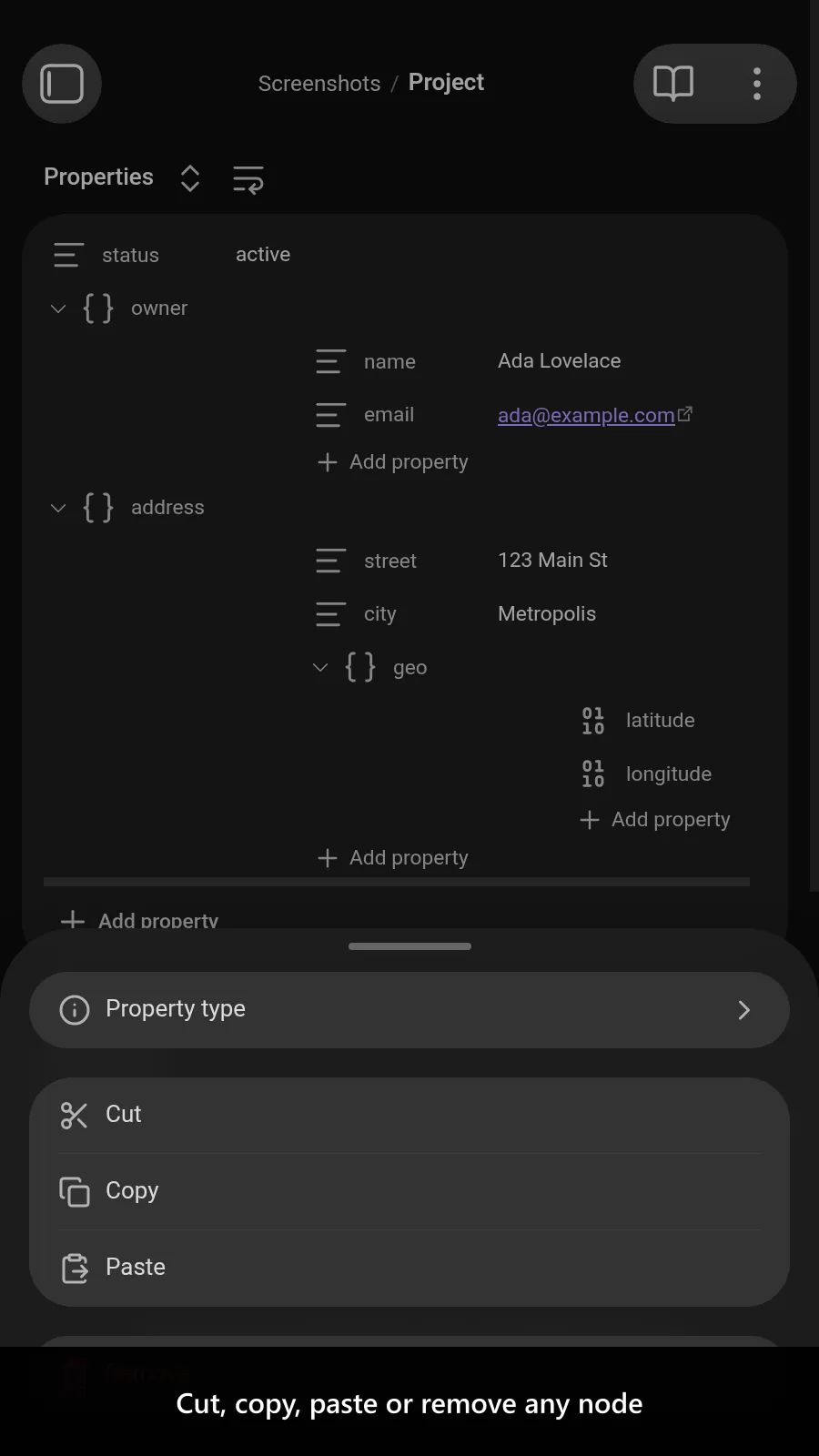 Nested Properties screenshot