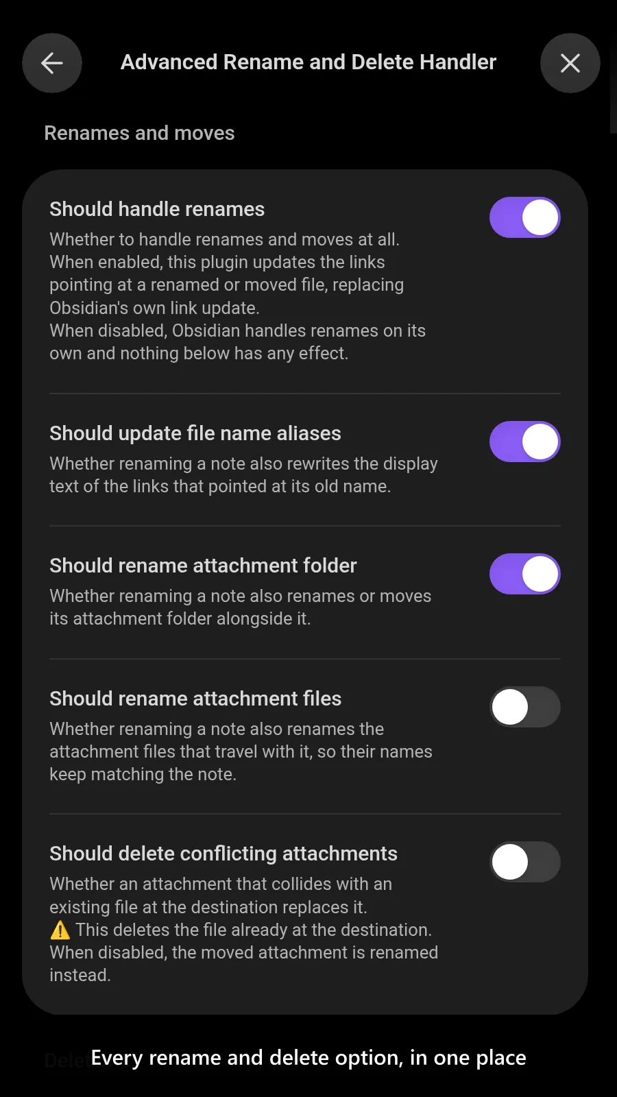 Advanced Rename and Delete Handler screenshot