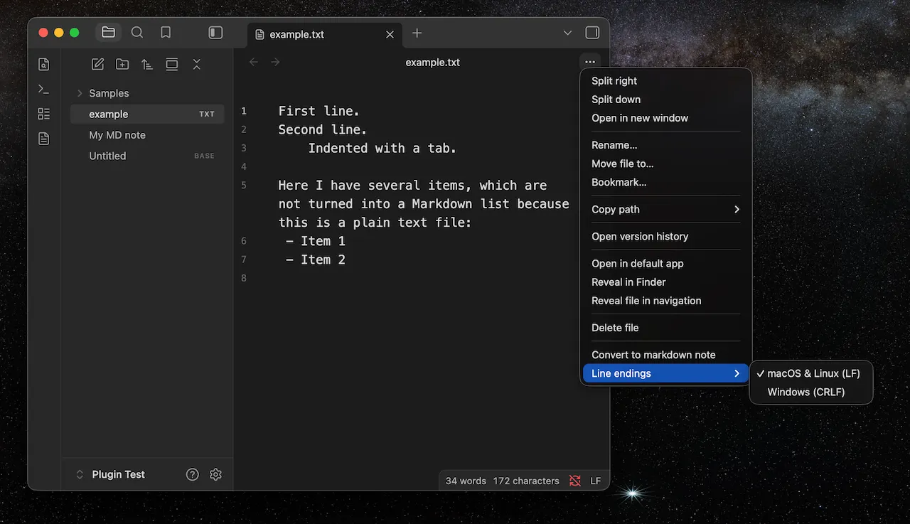 Plain Text Editor screenshot