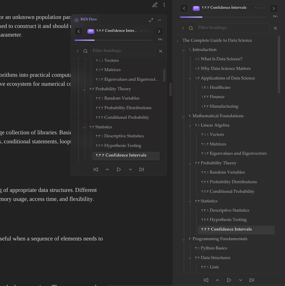 BiDi Flow Navigator screenshot