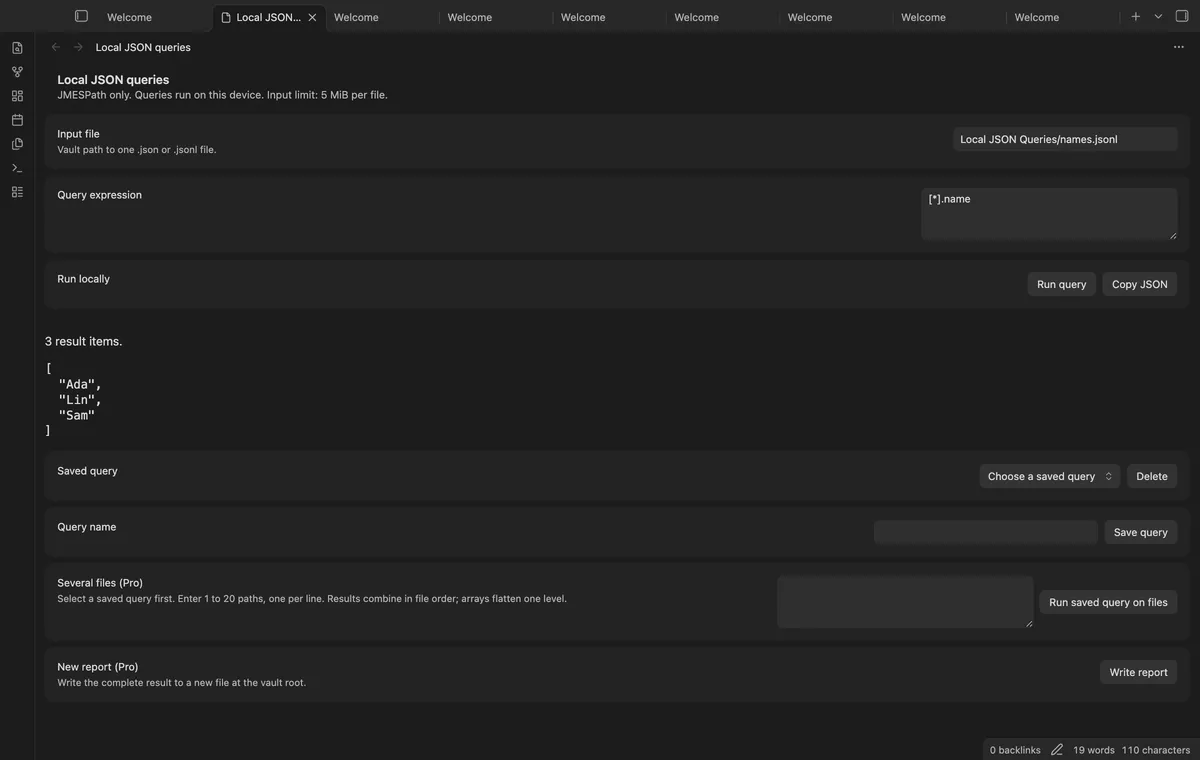 Local JSON Queries screenshot