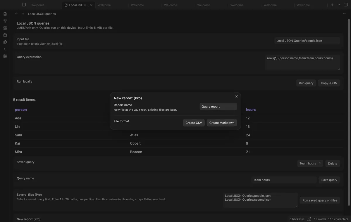 Local JSON Queries screenshot