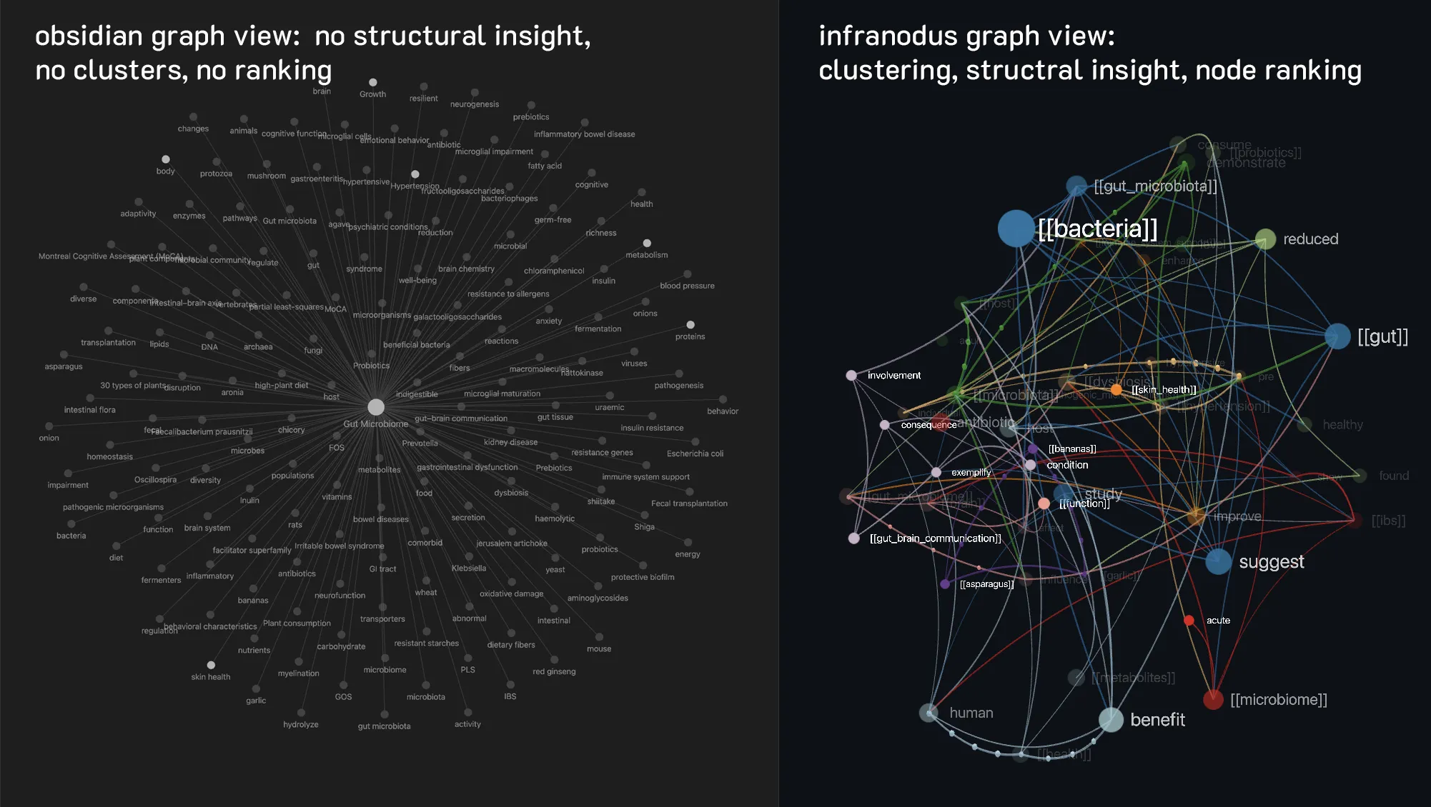 InfraNodus AI Graph View screenshot
