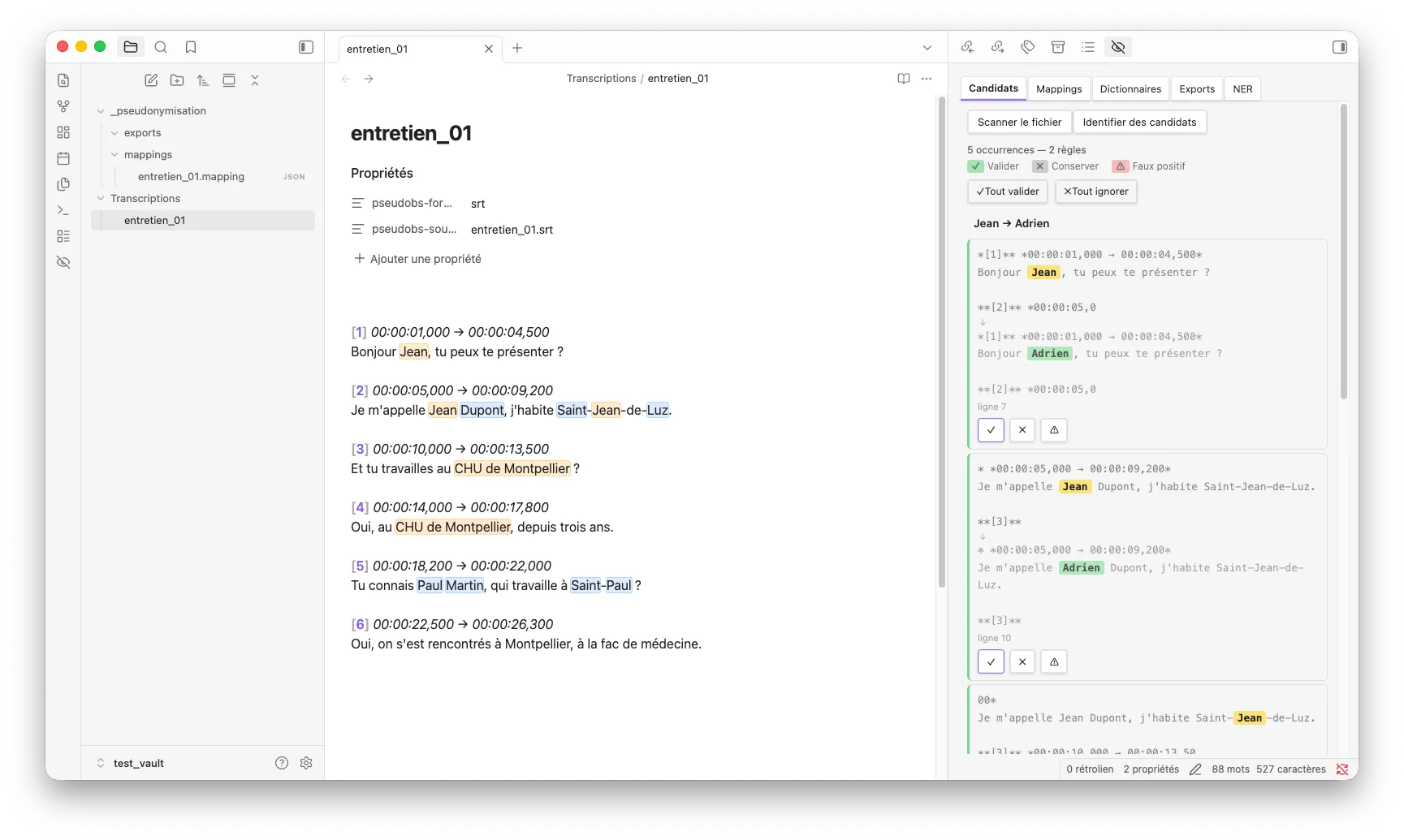 Pseudonymizer Tool screenshot