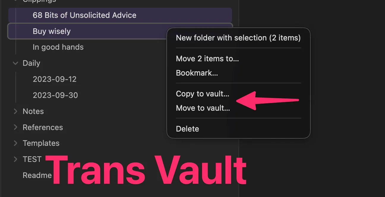 Trans Vault screenshot