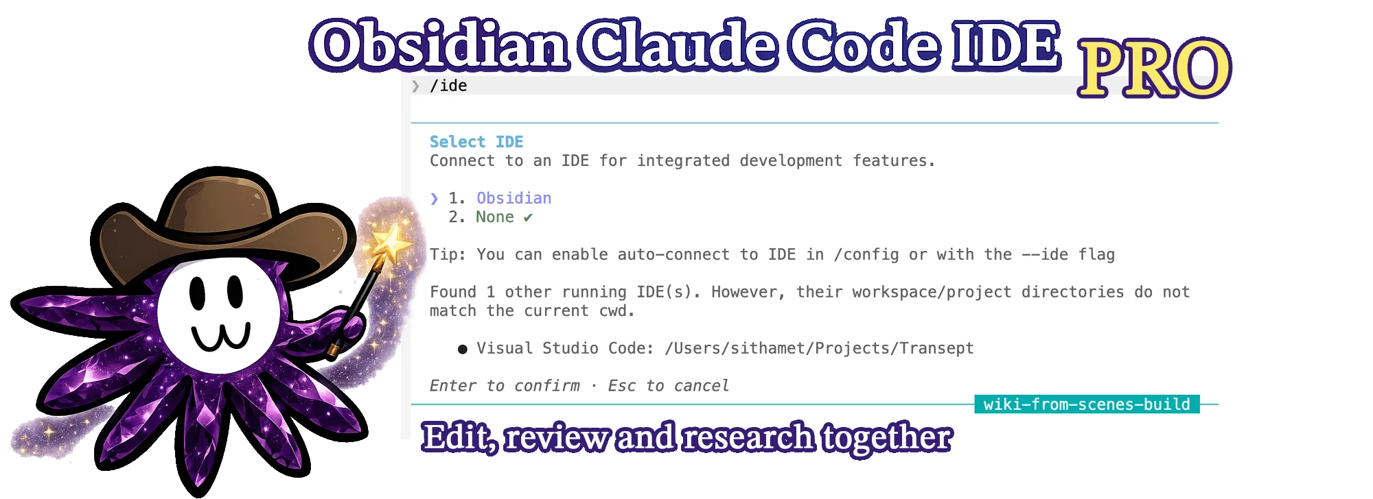 Claude Code IDE Pro screenshot
