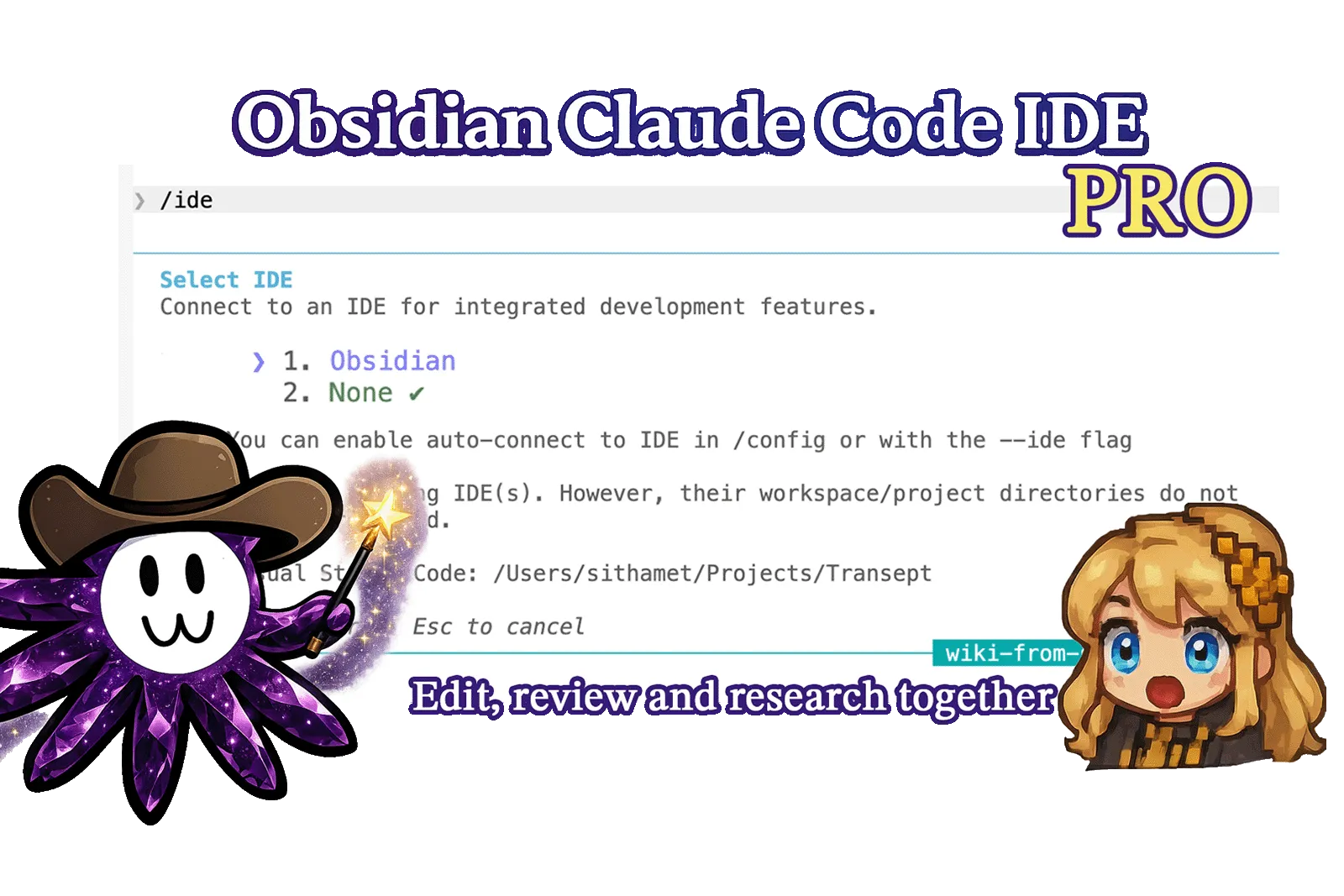 Claude Code IDE Pro screenshot