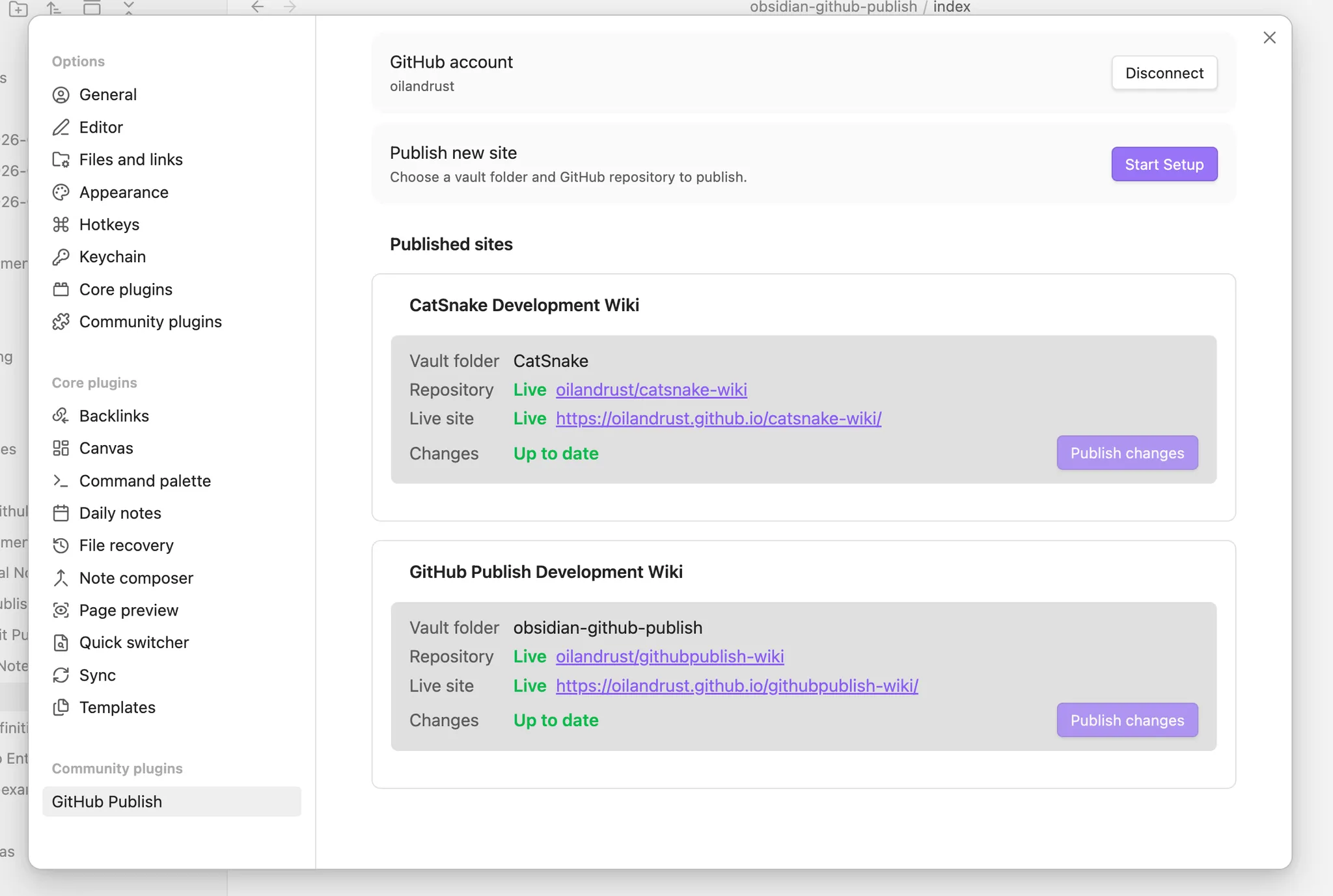 GitHub Publish screenshot