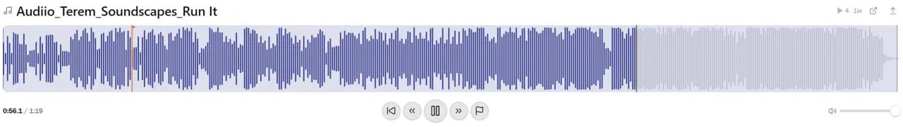 Songwriter Player screenshot