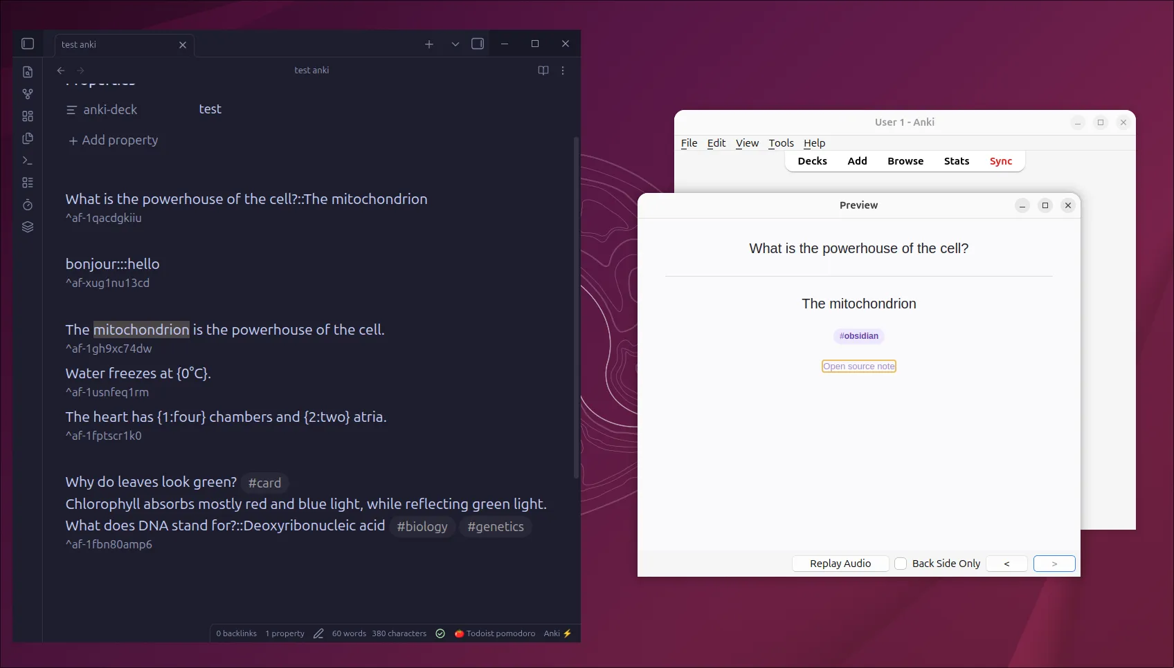 Anki Forge screenshot