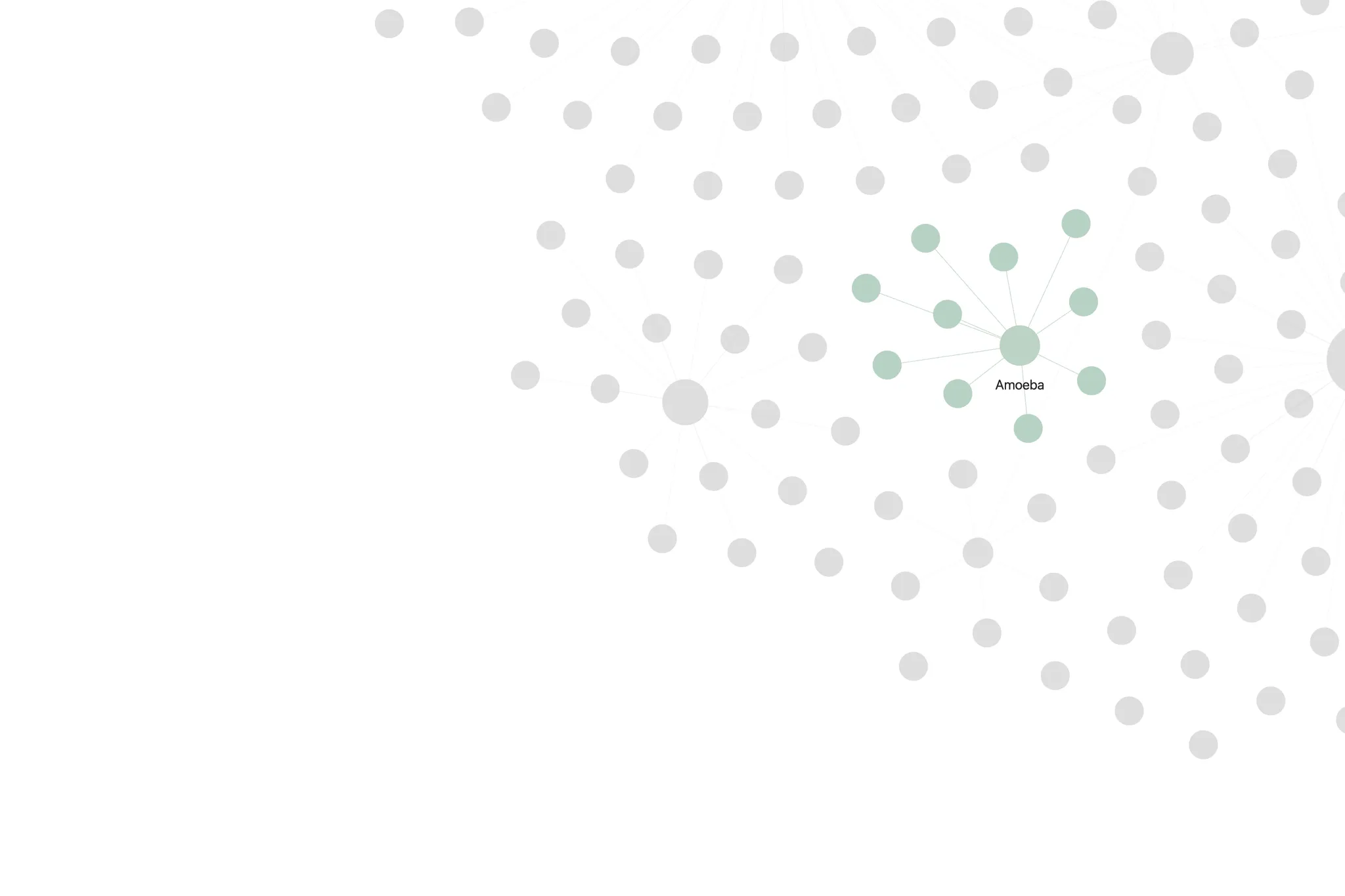 Amoeba screenshot