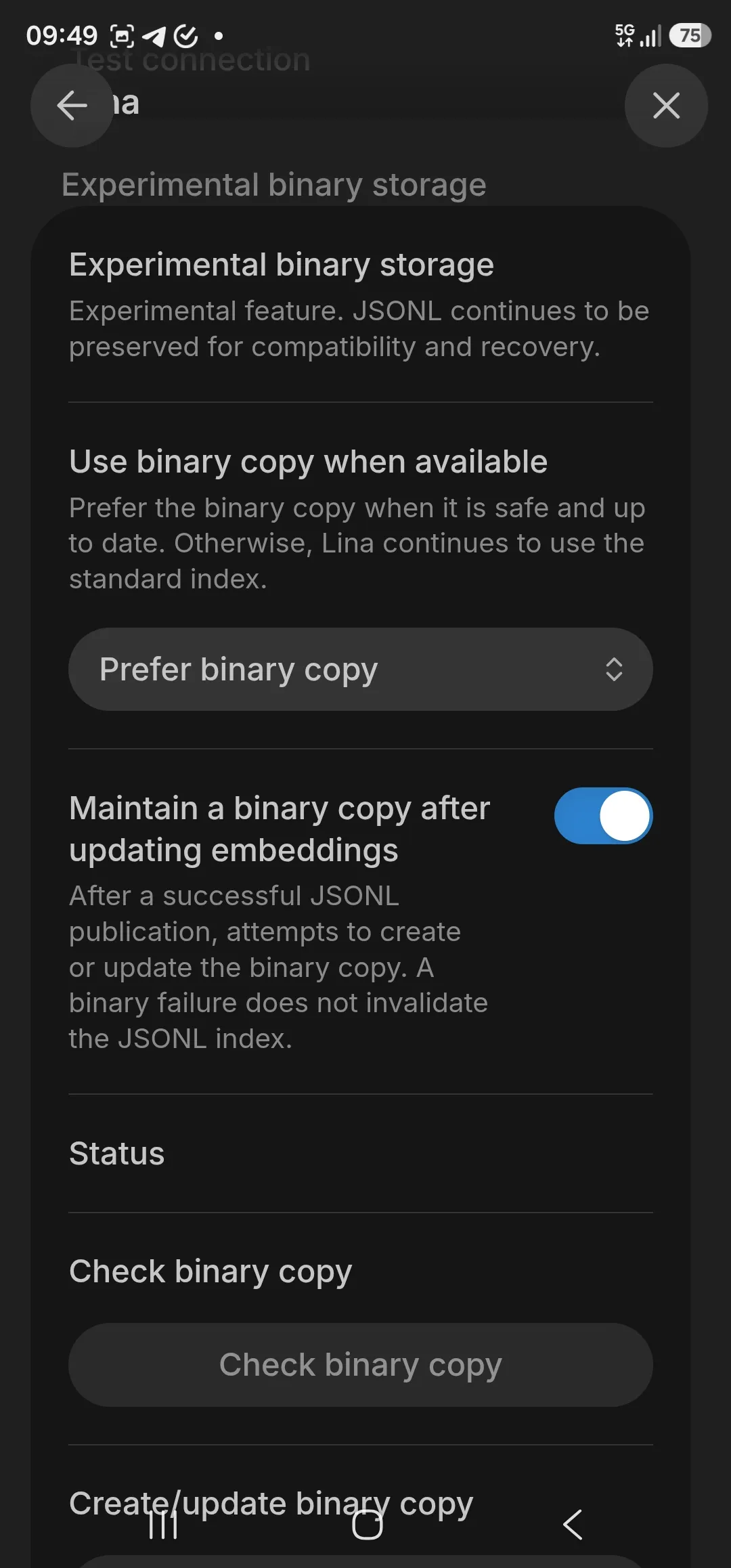 Lina screenshot